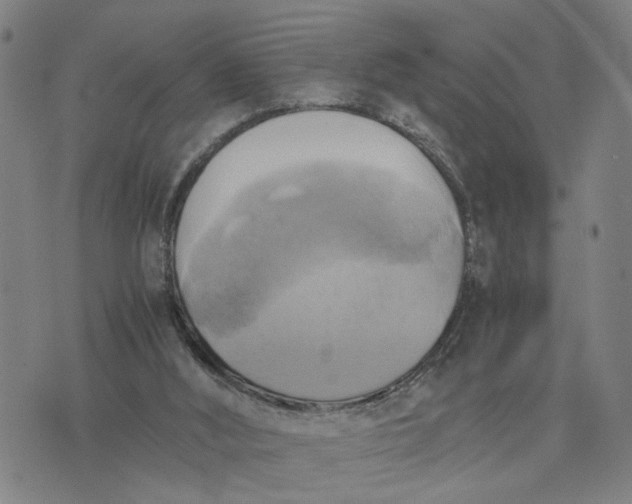 X0000076330012200610161720