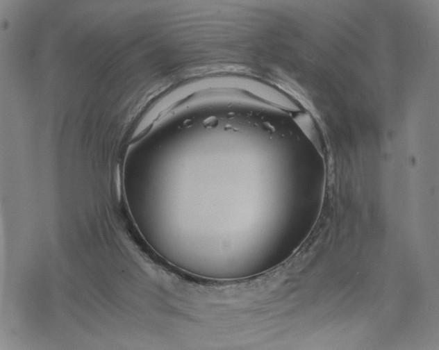 X0000076330013200610161720