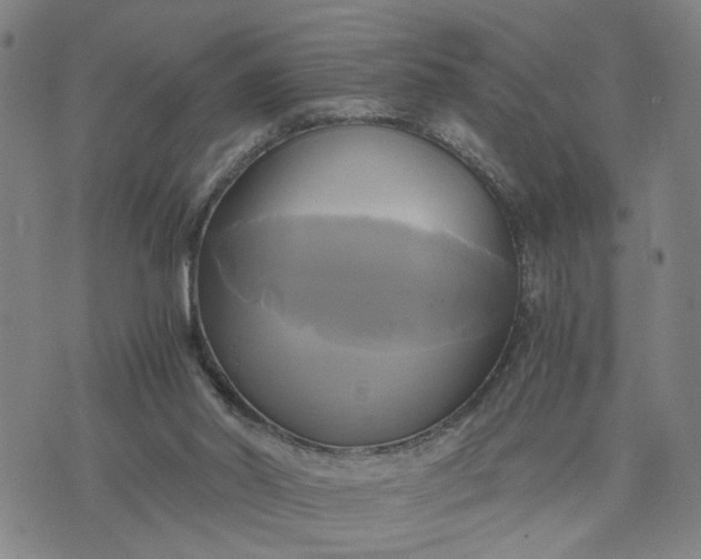 X0000076330014200610161720