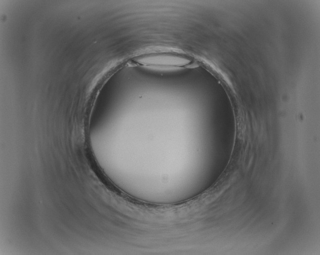 X0000076330015200610161720