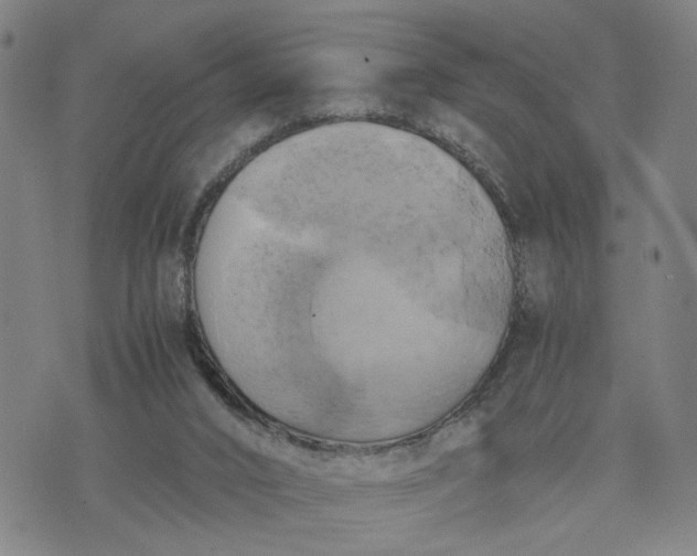 X0000076330016200610161720