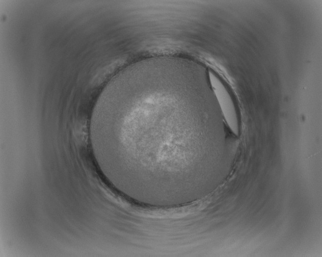 X0000076330017200610161720