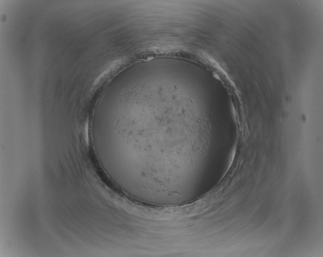 X0000076330019200610161720