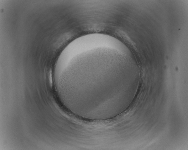 X0000076330020200610161720