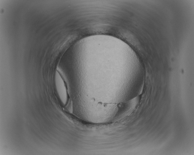 X0000076330021200610161720