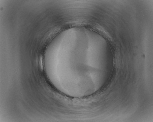 X0000076330022200610161720