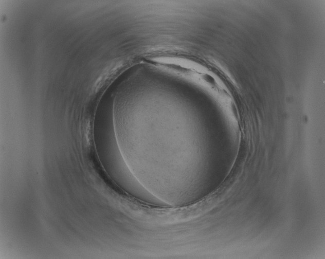 X0000076330023200610161720