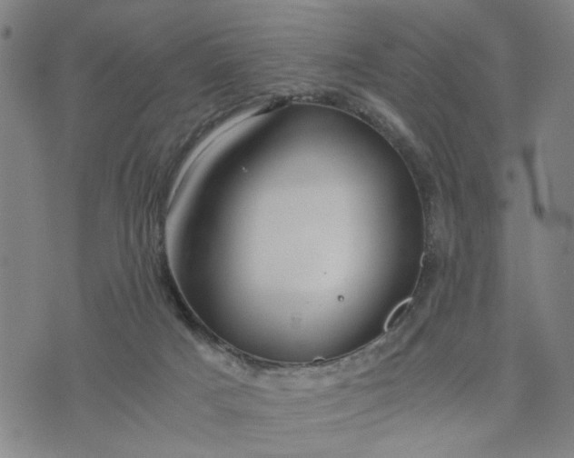 X0000076330025200610161720