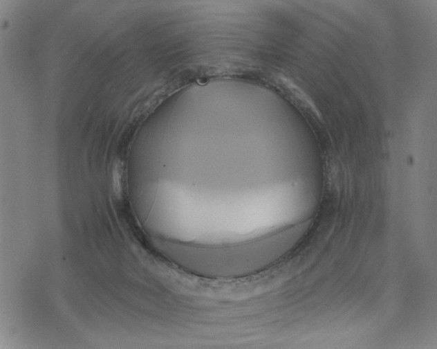 X0000076330026200610161720