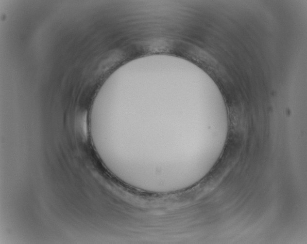 X0000076330028200610161720