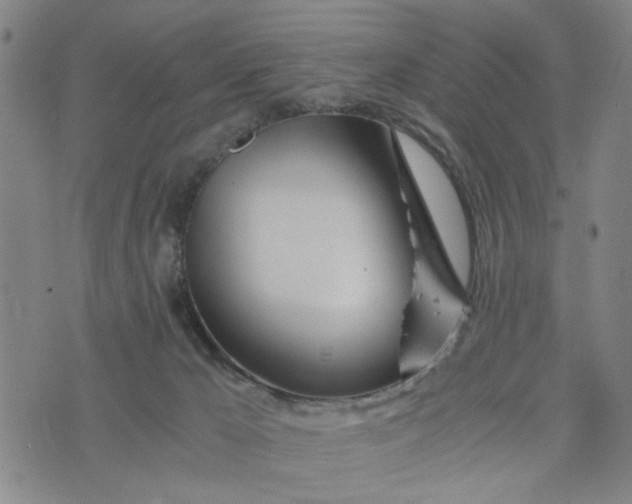 X0000076330029200610161720