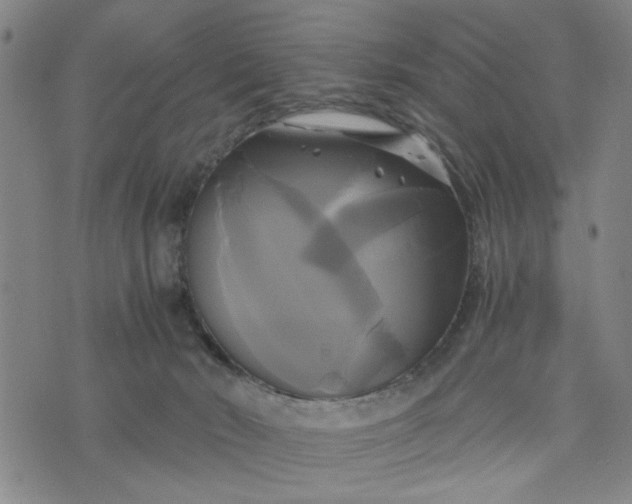 X0000076330030200610161720