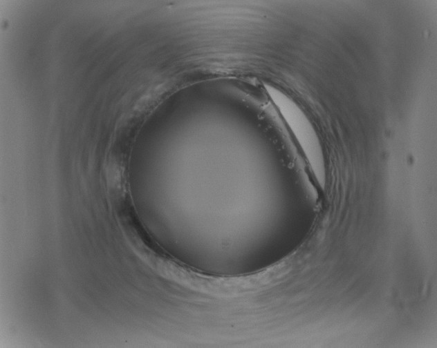 X0000076330031200610161720