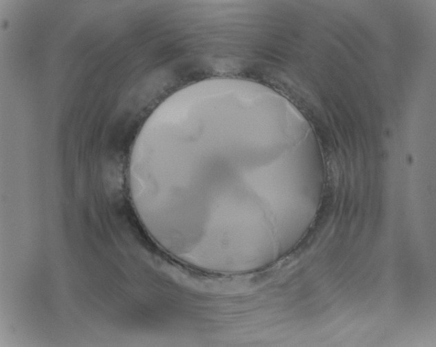 X0000076330032200610161720