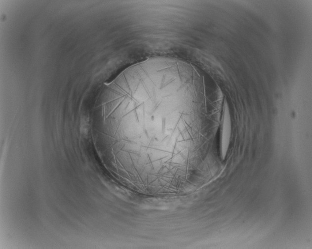 X0000076330033200610161720