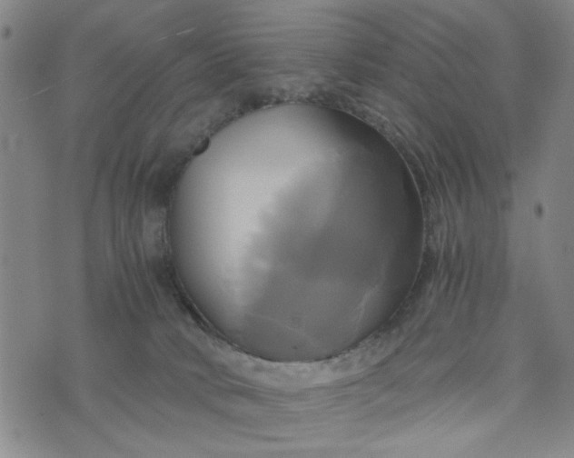 X0000076330034200610161720