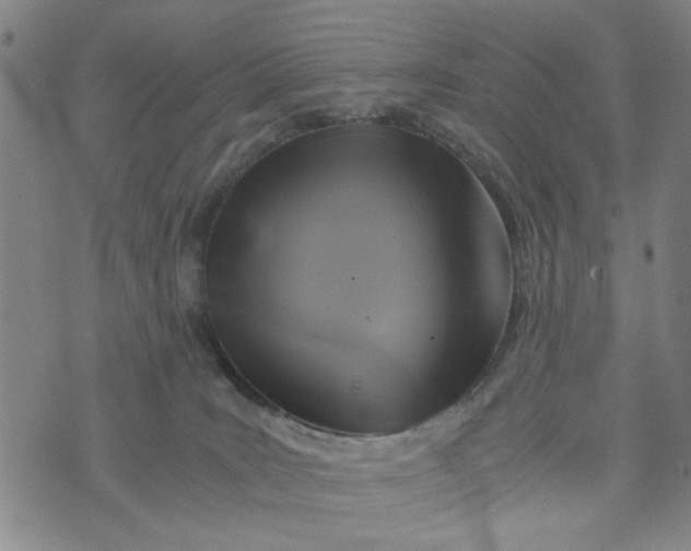 X0000076330035200610161720