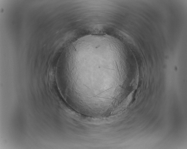 X0000076330037200610161720