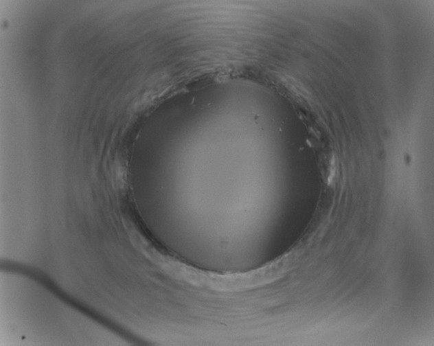 X0000076330039200610161720