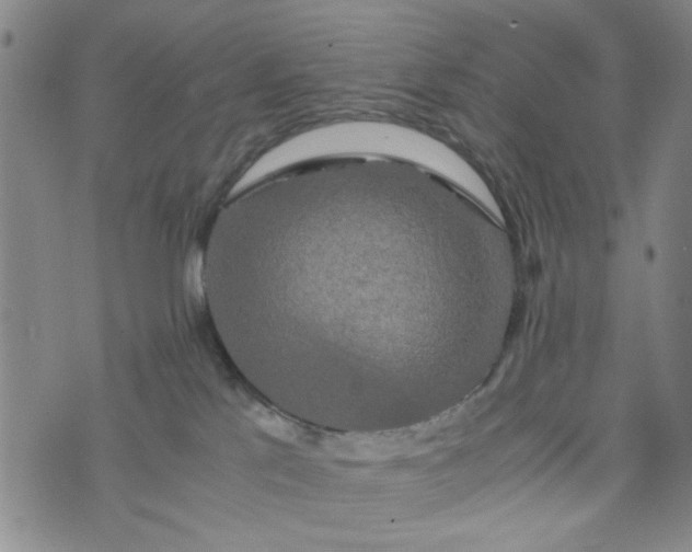 X0000076330041200610161720