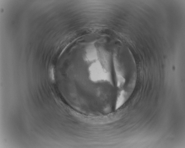 X0000076330042200610161720