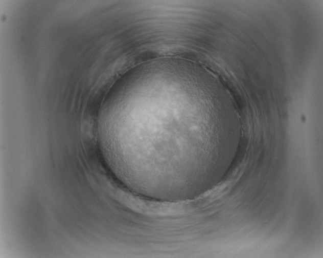 X0000076330044200610161720