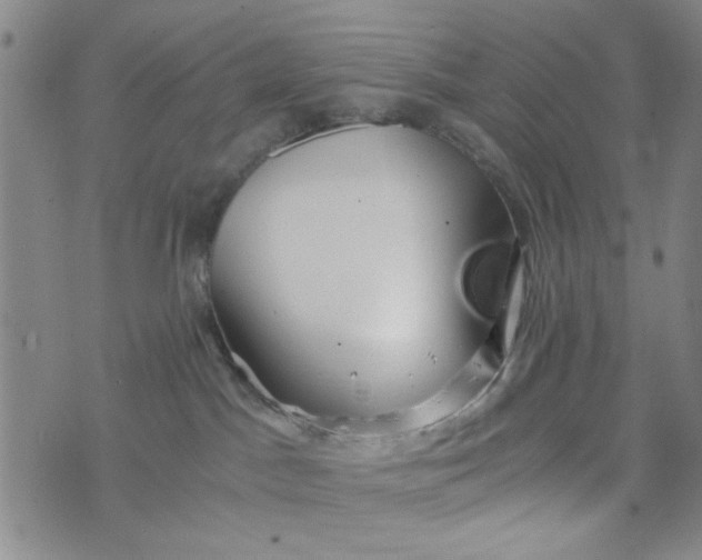 X0000076330045200610161720