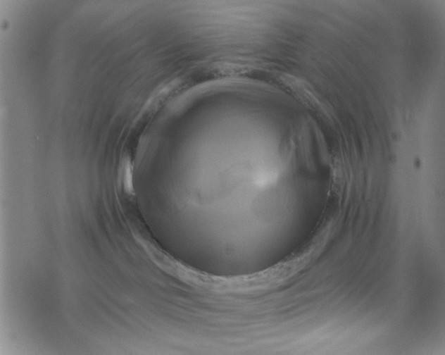 X0000076330046200610161720