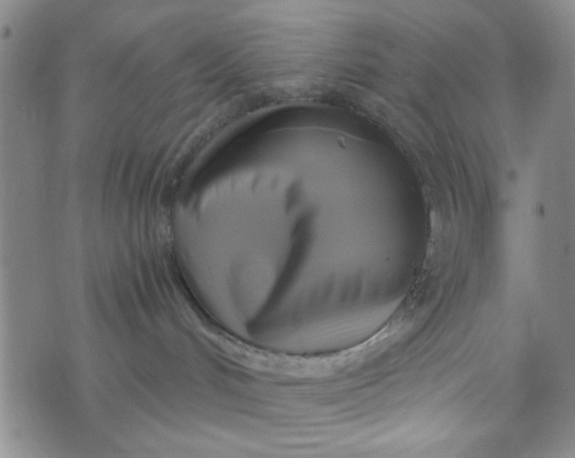 X0000076330048200610161720