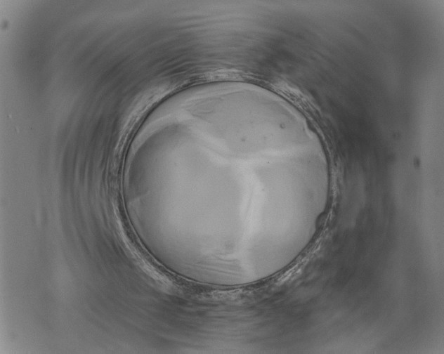 X0000076330049200610161719