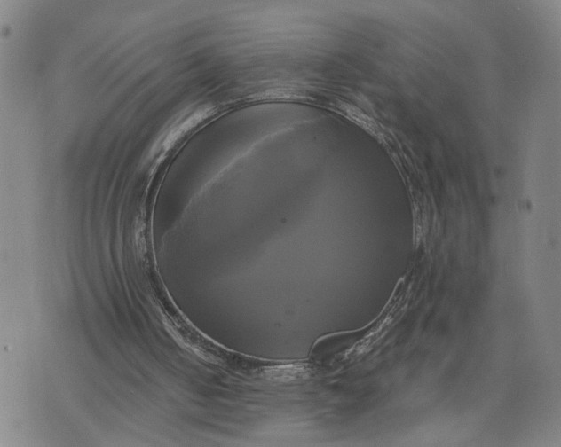 X0000076330050200610161719