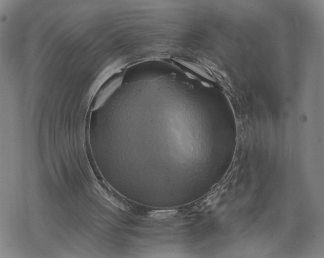 X0000076330051200610161719