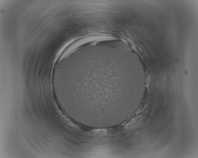 X0000076330052200610161719