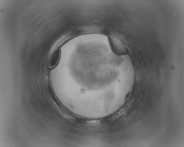 X0000076330053200610161719