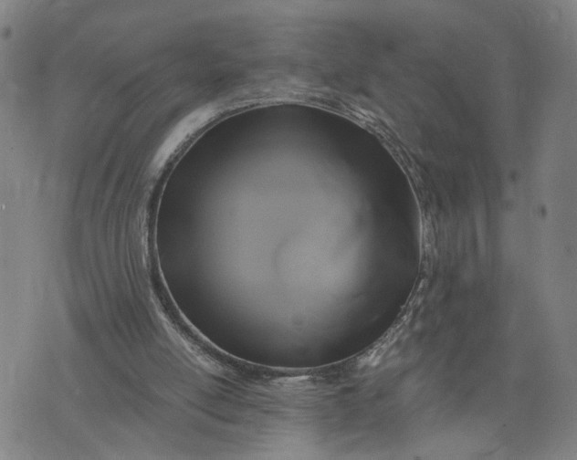 X0000076330054200610161719