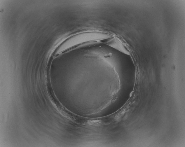 X0000076330055200610161719