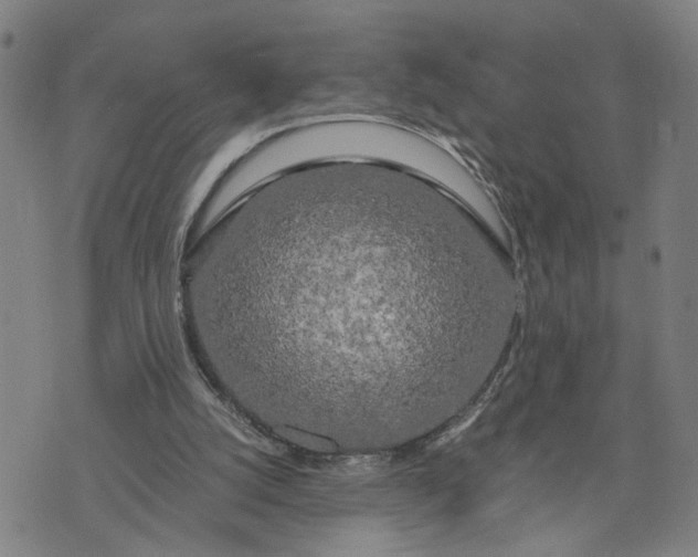 X0000076330056200610161719