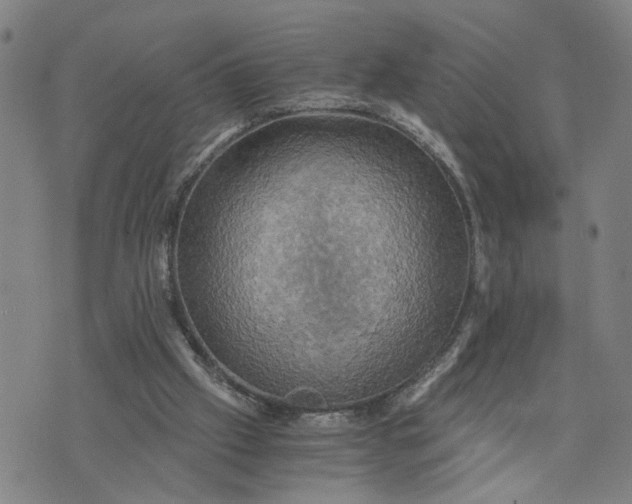 X0000076330057200610161719