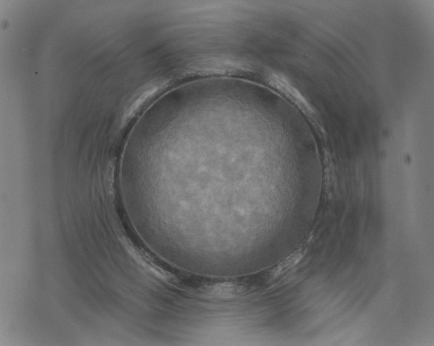 X0000076330058200610161719