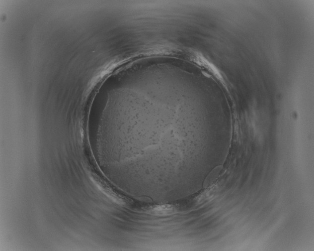 X0000076330059200610161719