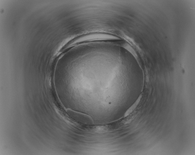 X0000076330060200610161719