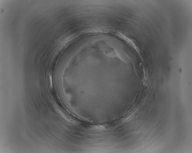 X0000076330061200610161719