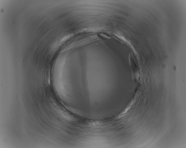 X0000076330062200610161719