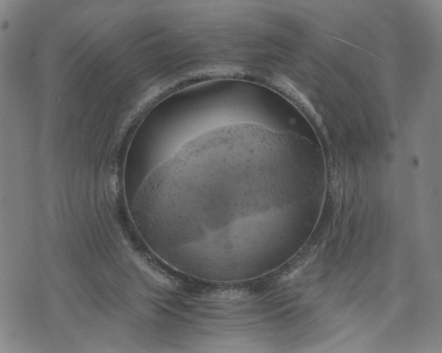 X0000076330063200610161719