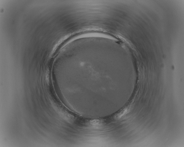 X0000076330064200610161719