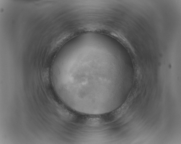 X0000076330066200610161719