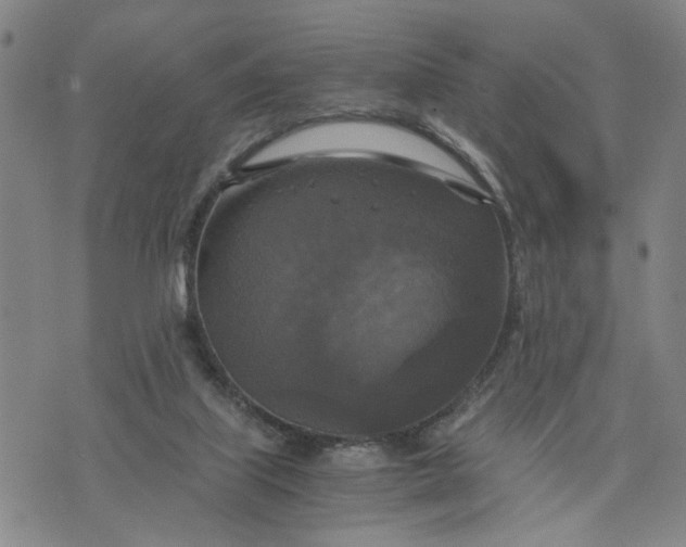 X0000076330067200610161719