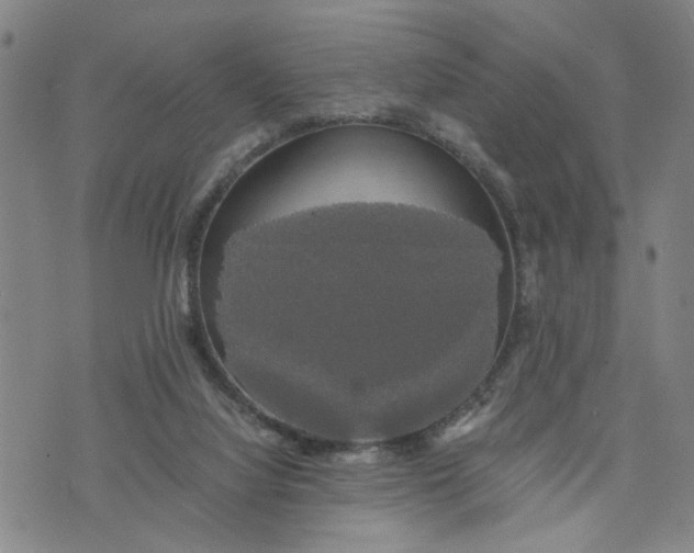 X0000076330068200610161719