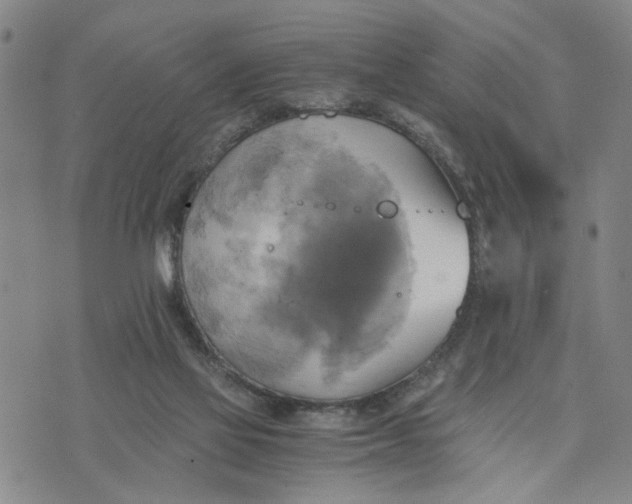 X0000076330069200610161719