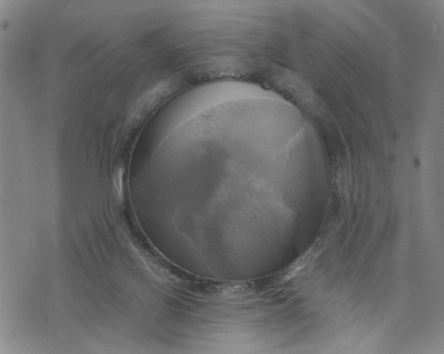 X0000076330070200610161719